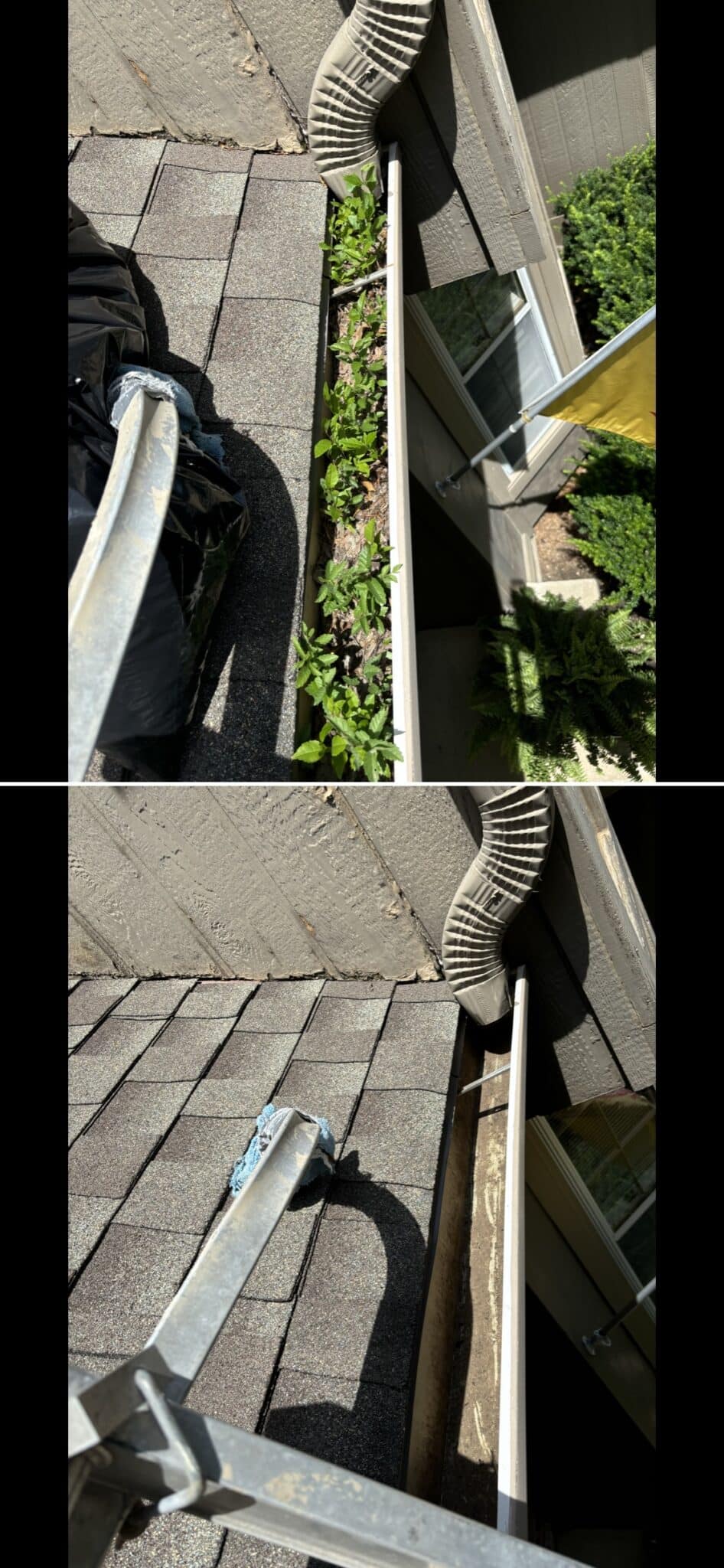 Gutter cleaning 2