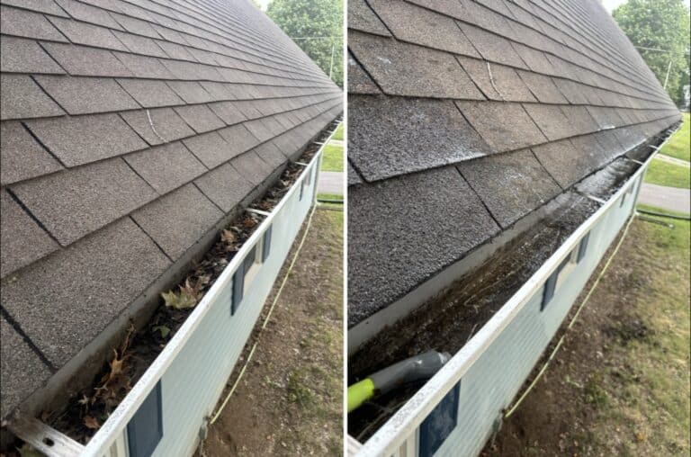 Gutter cleaning